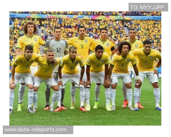 巴西世界杯参赛球队完整名单及球员详细信息解析